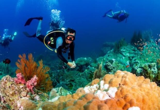 8 Days / 7 Nights  (Cairo, Giza & Hurghada - Red Sea ). price varies per group size.